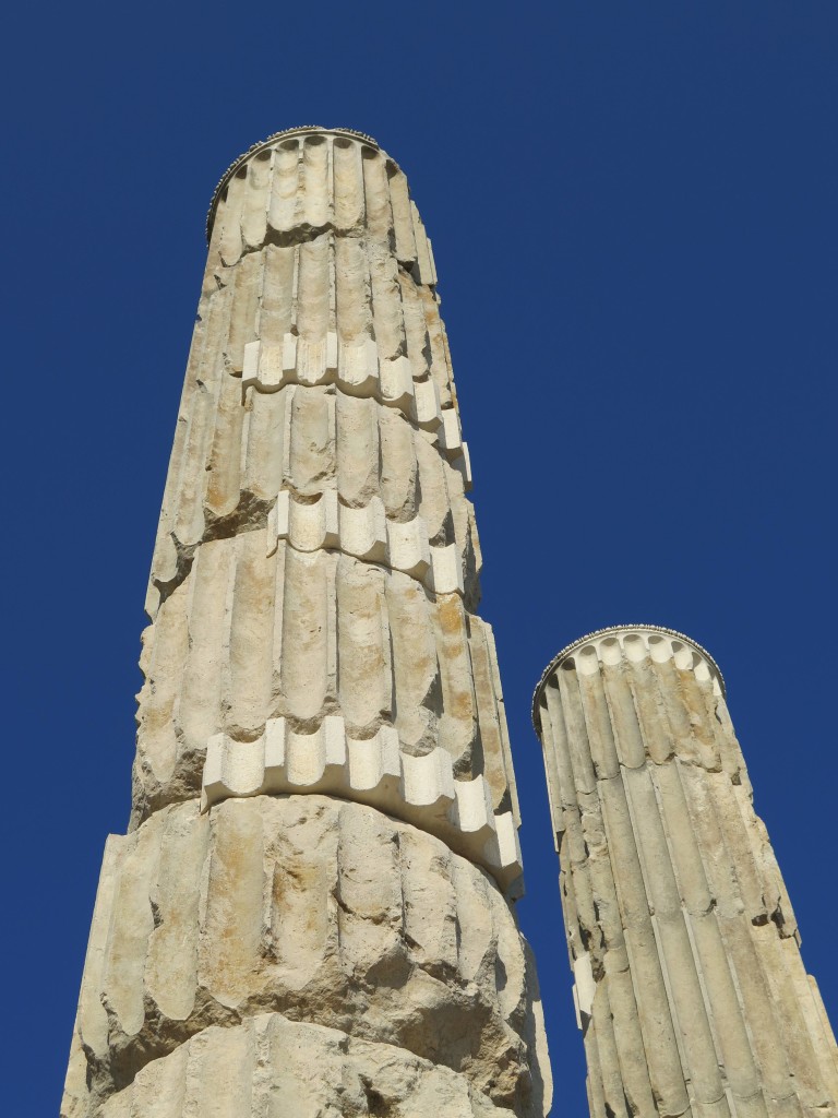 Bufale_Archeologiche_Gennaio_2015_Dario_Del_Bufalo Esco dell'UNESCO2