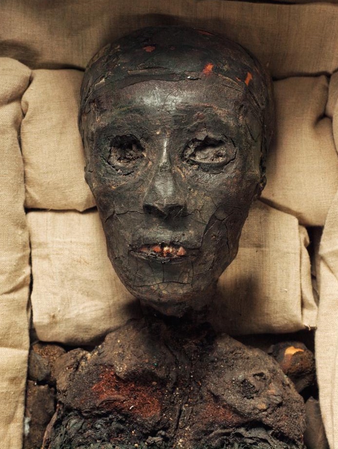 BUFALE ARCHEOLOGICHE dal Giornale dell’Arte Ottobre 2015 “Tut non esce da casa” Dario Del Bufalo 2