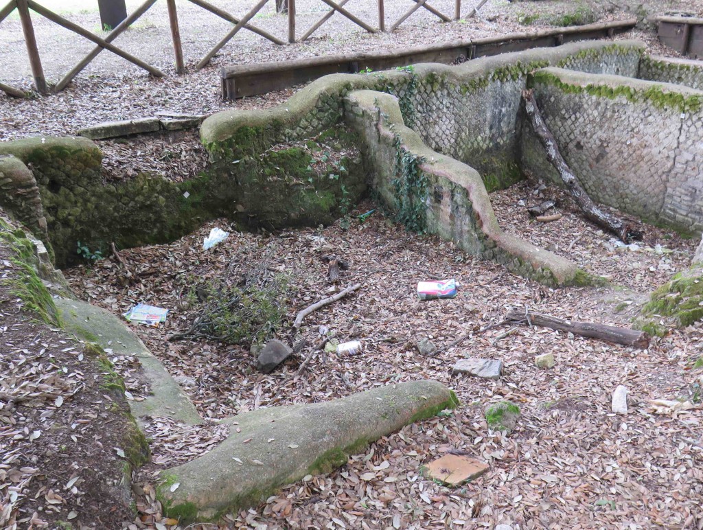 Bufale_Archeologiche_Gennaio_2016_Dario Del_Bufalo_1
