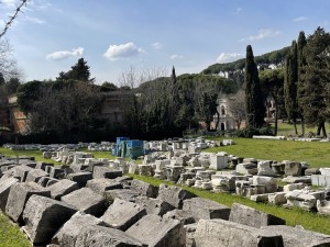 Foto 1. Roma, Antiquarium Comunale