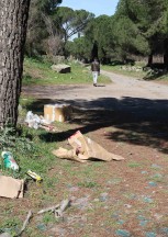 BUFALE ARCHEOLOGICHE dal Giornale dell’Arte Aprile 2017 “Regina Markettarum”