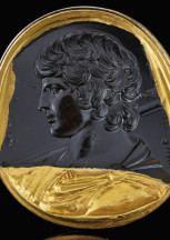 Il plusvalore dei pedigree illustri