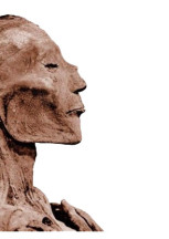 Virus mummificati GdA Maggio-Giugno 2020